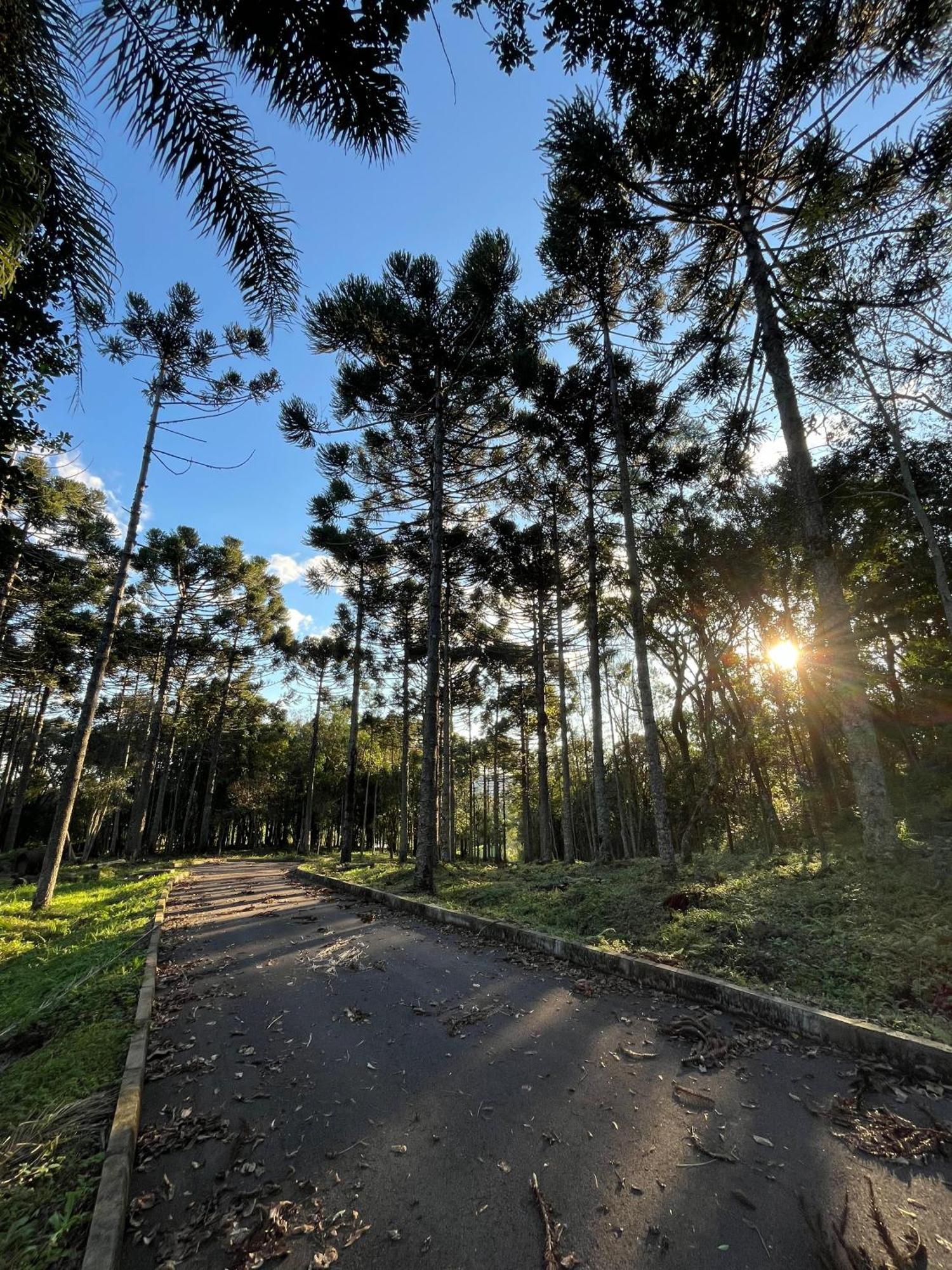 Ville Del Bosco Hotel São Marcos Exteriör bild